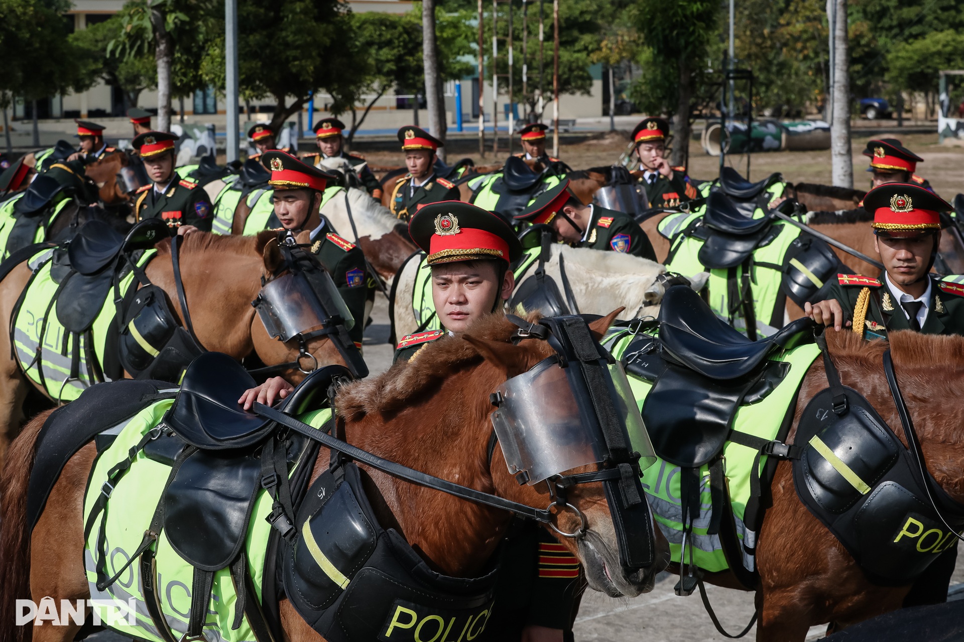 Kỵ binh ngày đêm khổ luyện cho dịp kỷ niệm Ngày Thống nhất đất nước 30/4 - 3 Kỵ binh ngày đêm khổ luyện cho dịp kỷ niệm Ngày Thống nhất đất nước 30/4 - 3