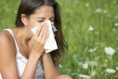 Làm gì để hạn chế viêm mũi dị ứng?
