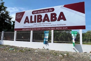 Phó Thủ tướng chỉ đạo sớm đưa vụ Công ty Alibaba ra truy tố, xét xử