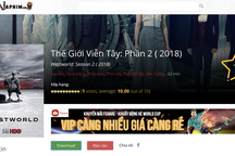 Ma trận phim lậu: Khi Internet Việt Nam là nguồn phân phối bất hợp pháp