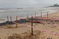 Cáp ngầm xuyên biển đưa điện ra đảo Lý Sơn bị sóng đánh lộ thiên