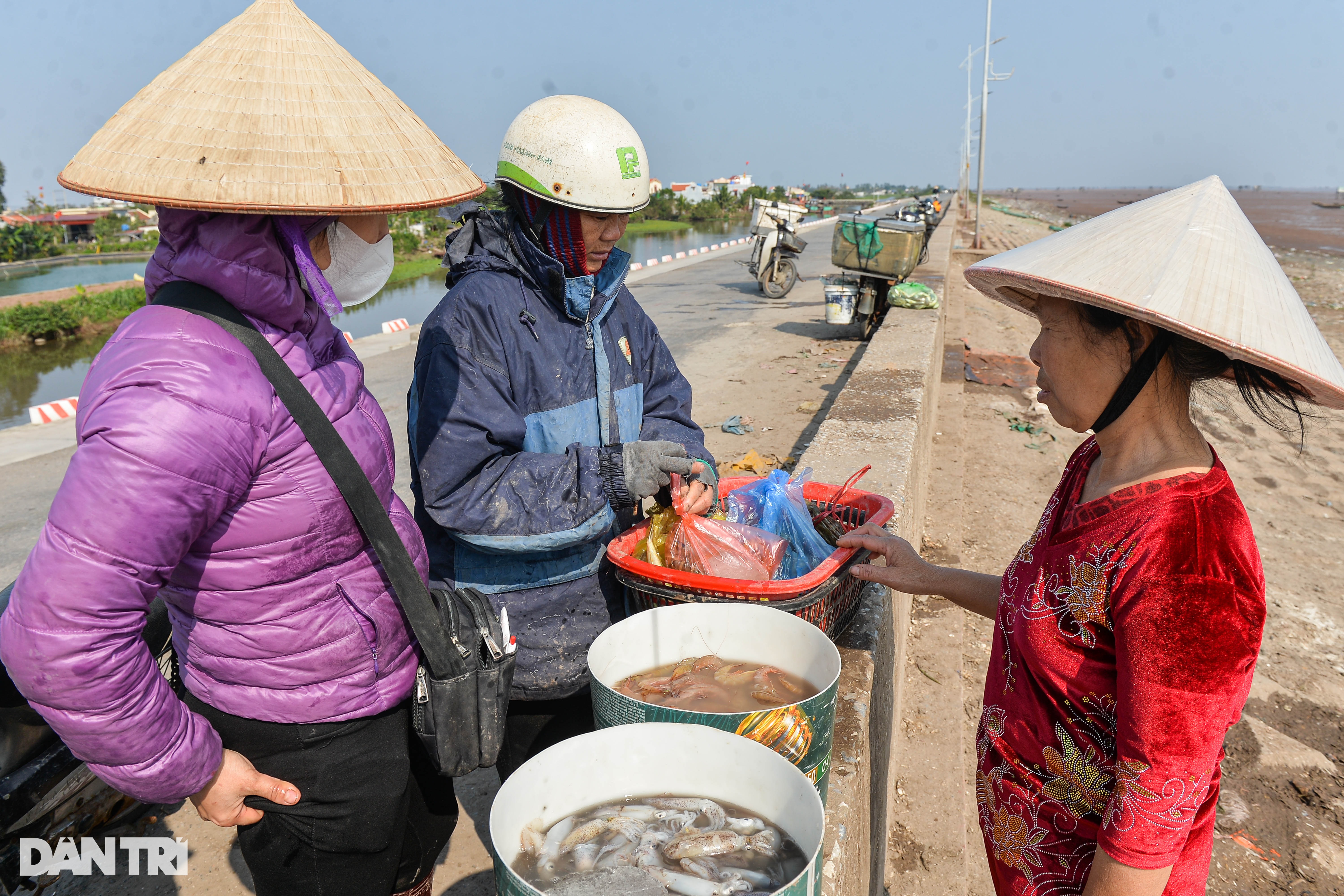 Xông biển mùng 1 Tết, ngư dân kiếm tiền triệu - 5