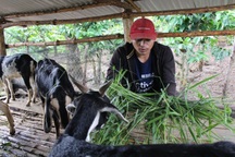 Chàng kỹ sư người K’ho về quê khởi nghiệp kiếm hàng trăm triệu đồng