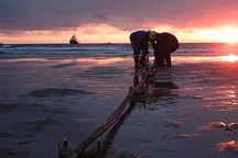 Cáp quang biển APG gặp sự cố, nhà mạng đang tìm nguyên nhân