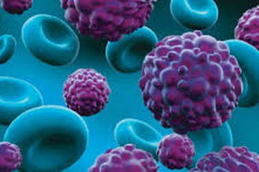 Liệu pháp nội tiết, thuốc nhắm trúng đích có gây vô sinh không?