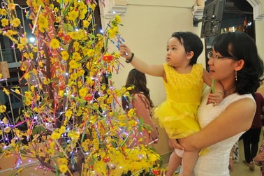 Phú Quốc hân hoan đón năm mới khi vừa lên đô thị loại 2