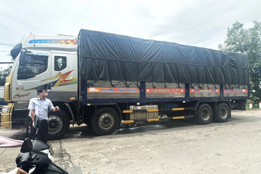 Đề nghị xử lý hình sự tài xế lái xe tải 31 tấn qua cầu 3,5 tấn