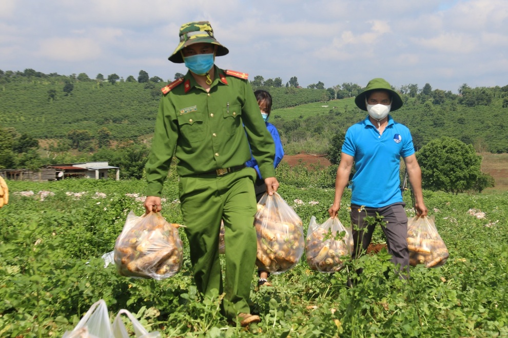 Anh nông dân chơi lớn, gửi tặng người dân TPHCM cả vườn cải trăm triệu - 8 Anh nông dân chơi lớn, gửi tặng người dân TPHCM cả vườn cải trăm triệu - 8
