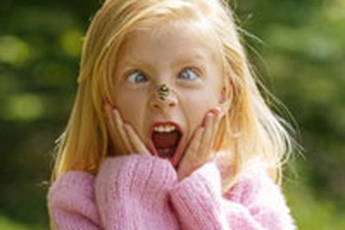 Nguy cơ ngộ độc do ong đốt