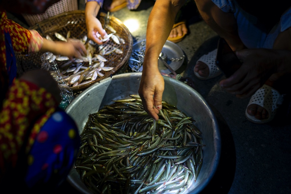 Chợ âm phủ ở miền Tây, người mua chưa kịp rõ mặt người bán thì chợ đã tan - 3 Chợ âm phủ ở miền Tây, người mua chưa kịp rõ mặt người bán thì chợ đã tan - 3