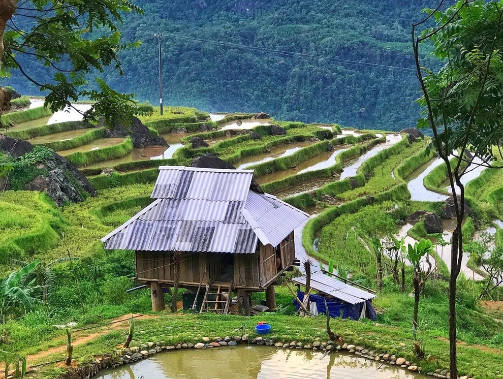 Thanh Hóa, Nghệ An, Hà Tĩnh, Ninh Bình Thanh Hóa, Nghệ An, Hà Tĩnh, Ninh Bình