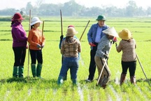 Nông dân Quảng Trị bất ngờ nhận lì xì chúc Tết của lãnh đạo tỉnh