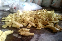 Phát hiện 12 tấn măng tươi ngâm trong chất tẩy độc hại