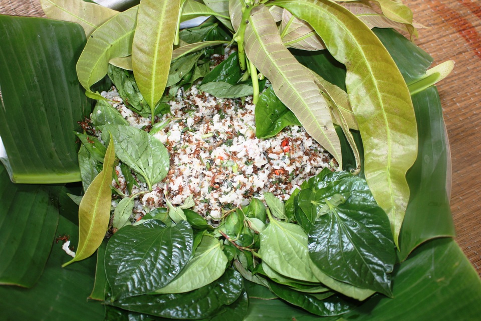 Độc đáo món gỏi kiến của người Rơ Mâm - 10 Độc đáo món gỏi kiến của người Rơ Mâm - 10