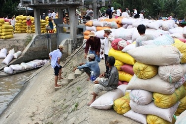 Thái Lan đang nợ nông dân 3,6 tỷ USD tiền lúa gạo