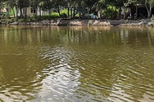 Hai nữ sinh lao xe máy xuống sông trên đường đến trường