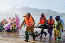 Quân đội huy động hơn 400 xe đặc chủng và 6 máy bay chống bão Yagi