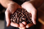 Lợi ích bất ngờ của việc uống cà phê trước khi tập luyện