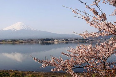 Một vài gợi ý ngắm ngọn núi cao nhất xứ Mặt trời mọc