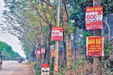 Nắn dòng tiền để kiểm soát "sốt" đất