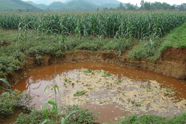 Nhiều "hố tử thần" bất ngờ xuất hiện sau trận mưa lớn