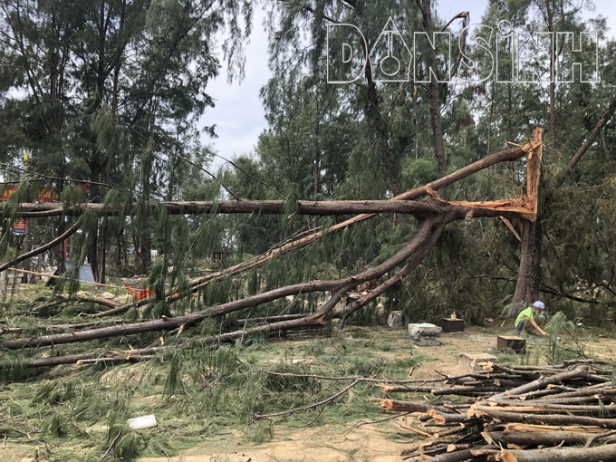 Thừa Thiên Huế: Đường bờ biển tiếp tục sạt lở nặng sau bão số 5 - Ảnh 13. Thừa Thiên Huế: Đường bờ biển tiếp tục sạt lở nặng sau bão số 5 - Ảnh 13.