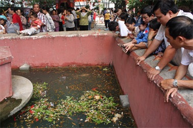 Tử vi, bói toán… bát nháo cổng chùa