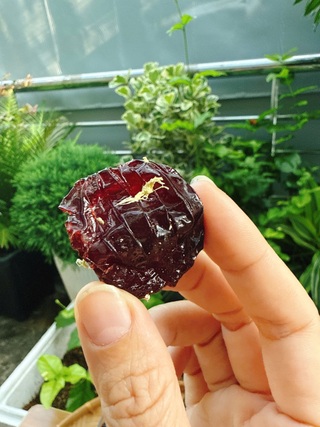 Mận ngon chỉ 8.000 đồng, mẹ đảm mách cách làm ô mai mận, siro mận đơn giản - 8