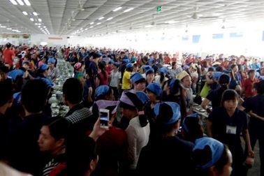 Vụ thức ăn có dòi: Chỉ một suất có dòi?