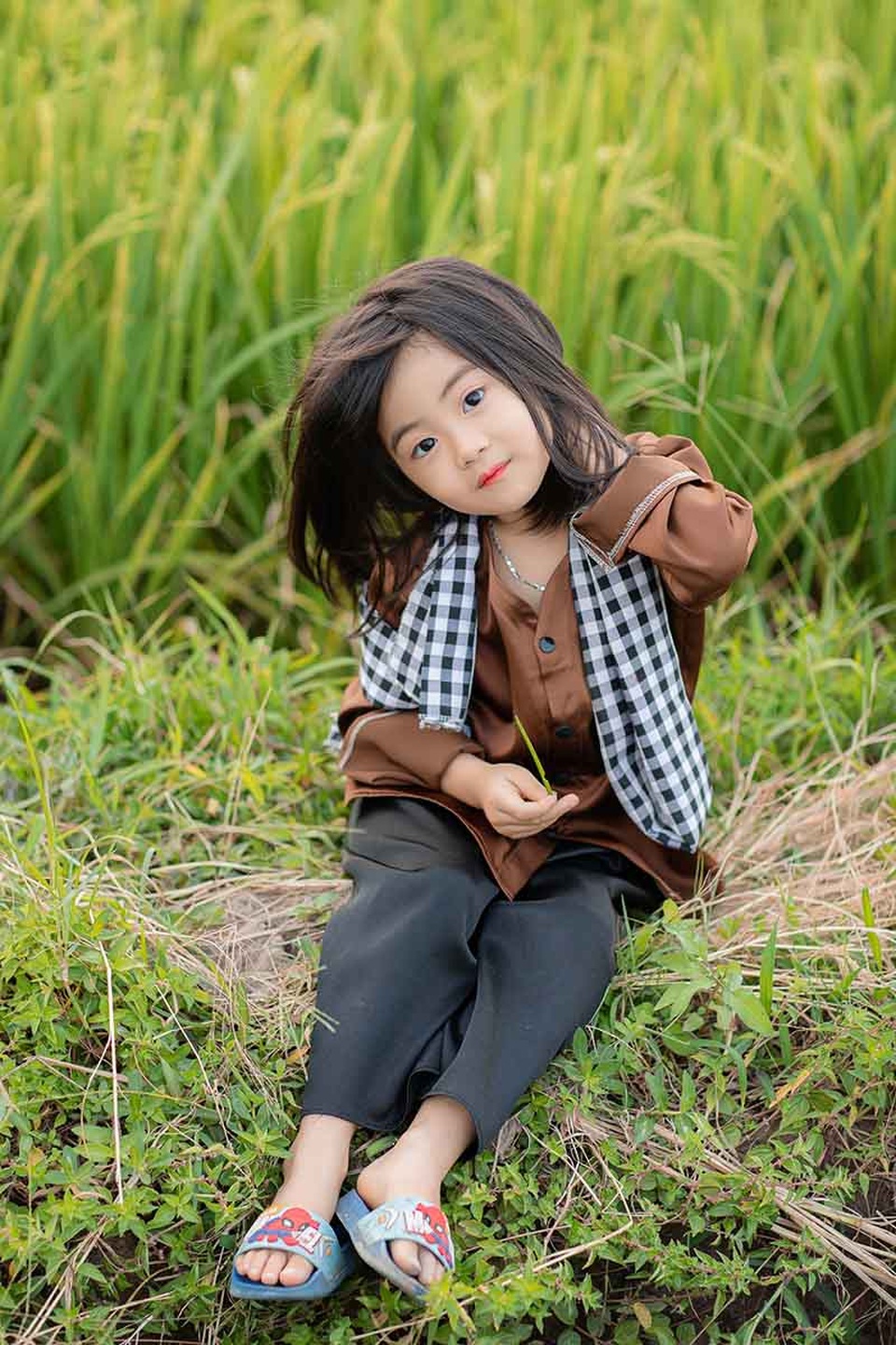 Bé gái xinh như thiên thần trên cánh đồng mùa lúa trổ bông - 10 Bé gái xinh như thiên thần trên cánh đồng mùa lúa trổ bông - 10