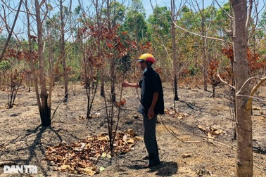 Chủ tịch huyện nói gì khi bị dân tố "hứa lèo"?