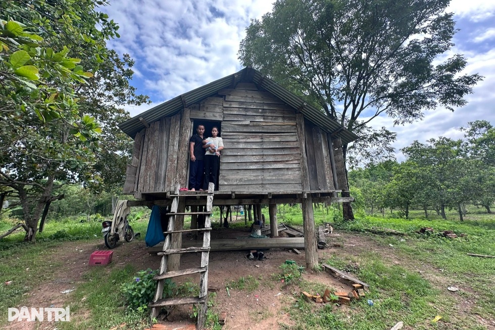 Phát huy sức mạnh đại đoàn kết, nâng cao đời sống đồng bào dân tộc thiểu số - 6