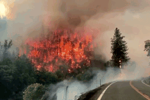 Cháy rừng kinh hoàng ở California, 2.000 người phải sơ tán khẩn cấp