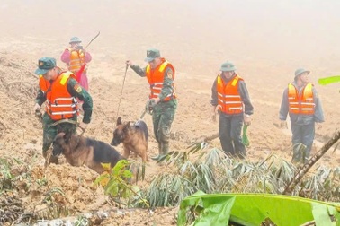 Dốc sức tìm kiếm 2 nạn nhân mất tích trong vụ sạt lở quả đồi giữa trời nắng