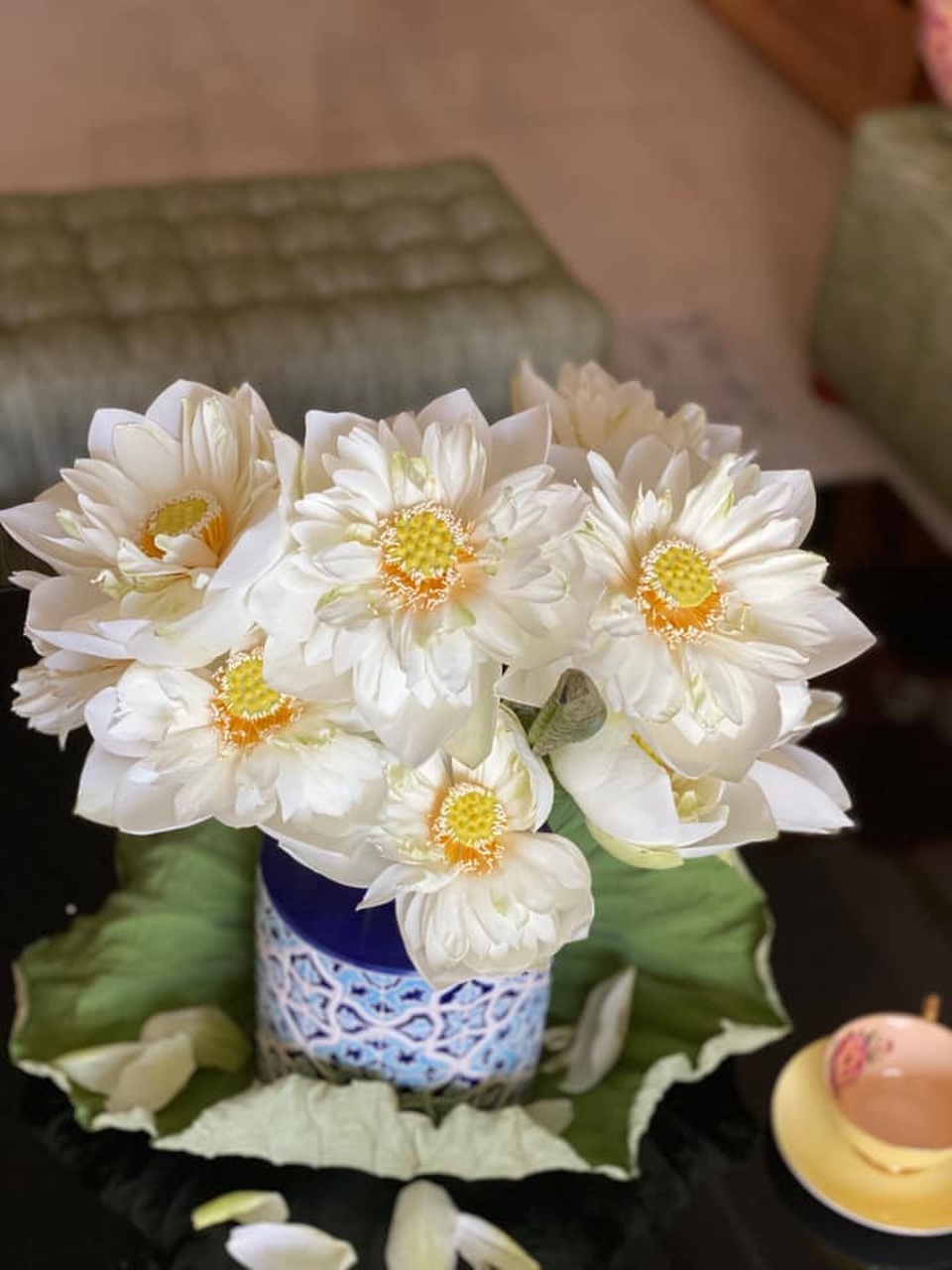 Mùa của những người yêu sen - 11 Mùa của những người yêu sen - 11