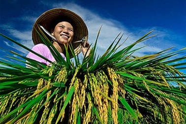 Tôn vinh những triệu phú, tỷ phú nông dân