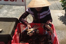 Sự thật về cua biển giá 50.000 đồng/kg