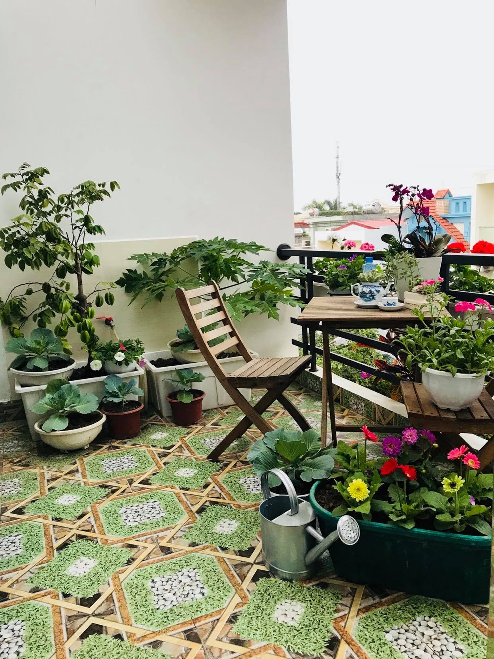Tái chế đồ cũ, gia chủ Hải Phòng làm vườn sân thượng đẹp như công viên - 12 Tái chế đồ cũ, gia chủ Hải Phòng làm vườn sân thượng đẹp như công viên - 12