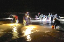 Sau bão, người dân lại đổ xô ra biển "hốt" ngao