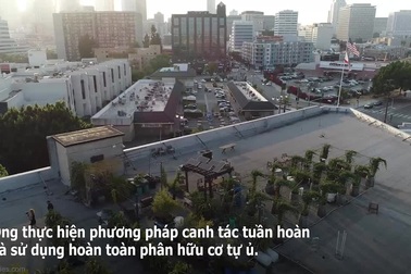 Bất ngờ nông trại giữa phố thị đông đúc của ông lão đam mê làm vườn