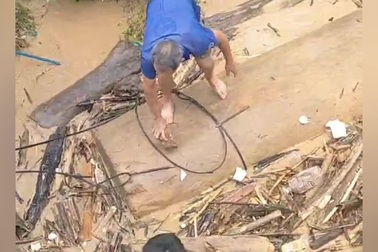 Người dân vớt củi, gỗ sau lũ ở Mường Xén