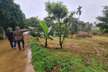 Đất tăng giá phi mã, người ở phố lại đi ôm đất vườn diện tích lớn