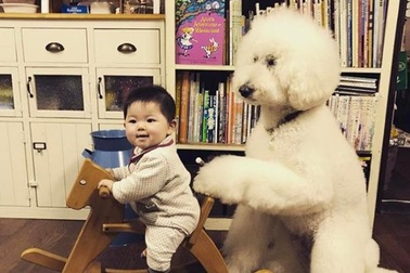 Tình bạn của bé 14 tháng tuổi và người bạn 4 chân khiến ai nhìn cũng thích mê