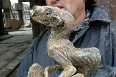 Loạt sinh vật kinh dị ẩn sâu dưới lớp băng vĩnh cửu Siberia