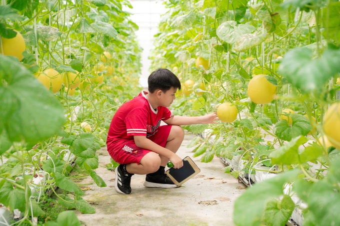 Khám phá Hành trình nông sản sạch tại WinEco Tam Đảo - 5 Khám phá Hành trình nông sản sạch tại WinEco Tam Đảo - 5