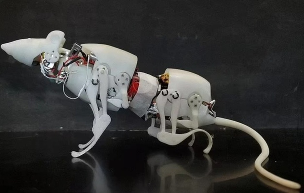 Chuột robot trình diễn khả năng độc nhất vô nhị - 1 Chuột robot trình diễn khả năng độc nhất vô nhị - 1