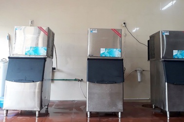 Máy làm đá viên tinh khiết: Sự lựa chọn thay thế máy làm đá viên công nghiệp?