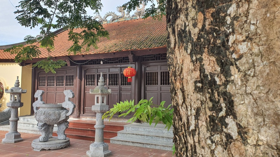 Sau cây sưa 24,5 tỷ đồng, làng Đông Cốc lại bán thêm 1 cây sưa tiền tỷ - 5 Sau cây sưa 24,5 tỷ đồng, làng Đông Cốc lại bán thêm 1 cây sưa tiền tỷ - 5