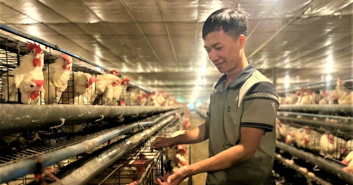 Quyết định "liều ăn nhiều" của kỹ sư viễn thông nhờ người vợ giỏi thú y