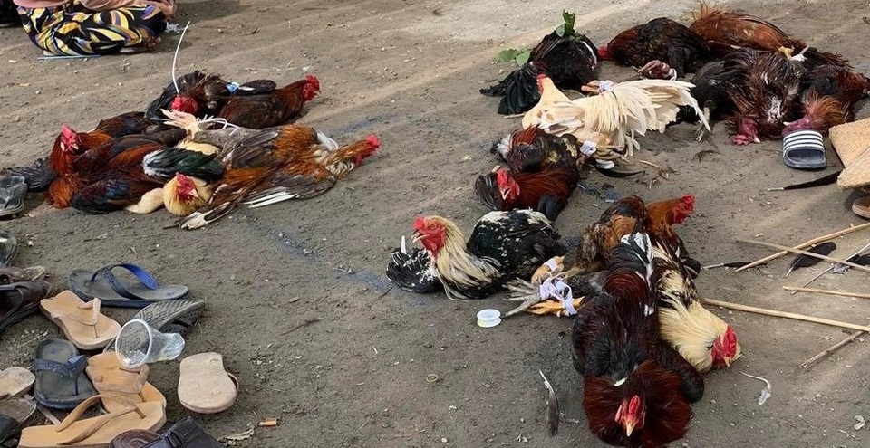 Bắt quả tang 42 đối tượng đánh bạc, tạm giữ gần 1 tỷ đồng - 2 Bắt quả tang 42 đối tượng đánh bạc, tạm giữ gần 1 tỷ đồng - 2